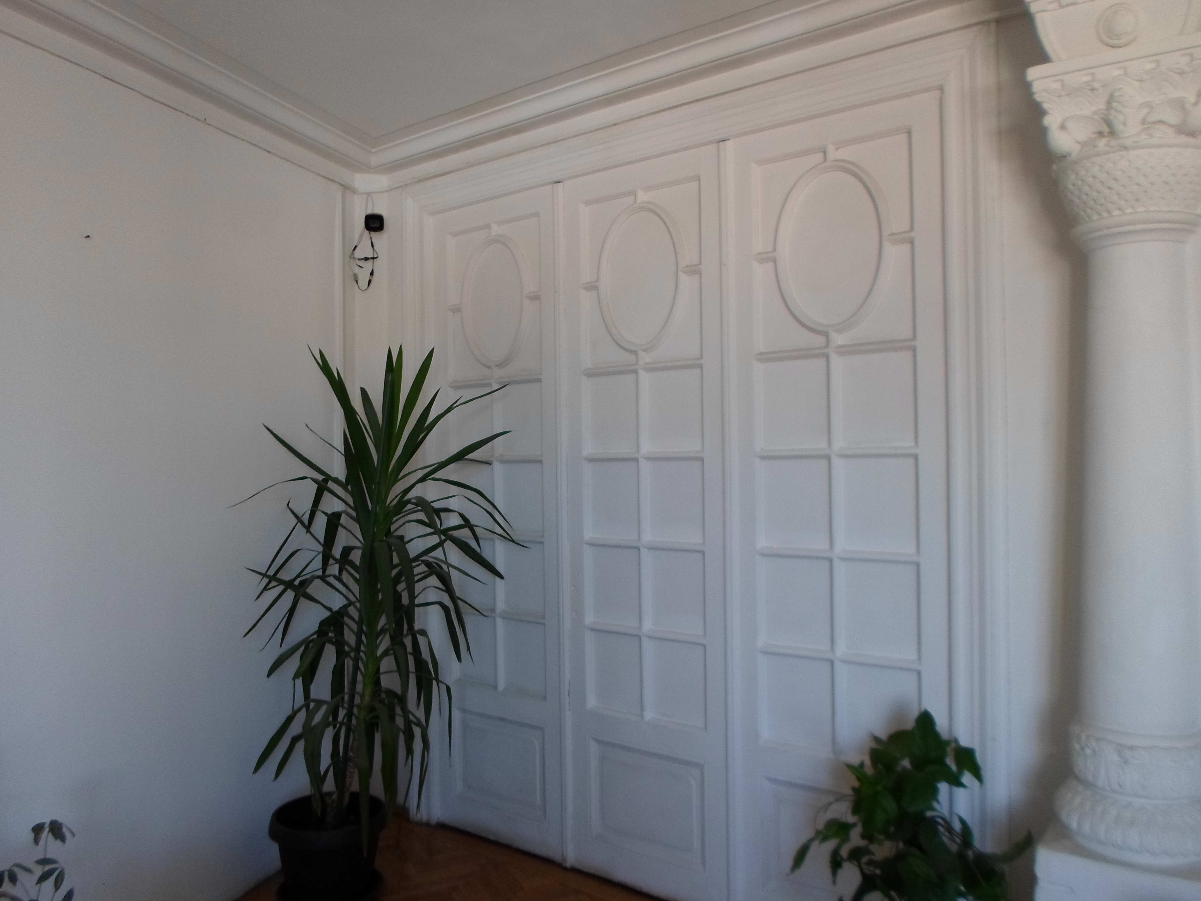 ZRI91, Spatiu pentru birou in Ploiesti, ultracentral ZRI89